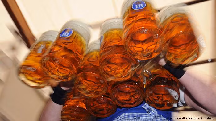 Mặc dù mỗi cốc bia nặng khoảng 2,3 kg nhưng các cô gái vẫn có thể bưng cùng lúc 12 cốc phục vụ cho các thực khách trong lễ hội bia hoành tráng này.