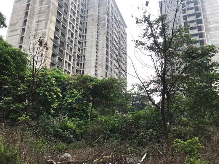 Xót xa loạt lô đất "hoang tàn" của Tổng công ty HUD - Hình 3 Xot xa loat lo dat