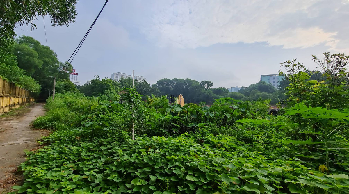 Xót xa loạt lô đất "hoang tàn" của Tổng công ty HUD - Hình 13 Xot xa loat lo dat