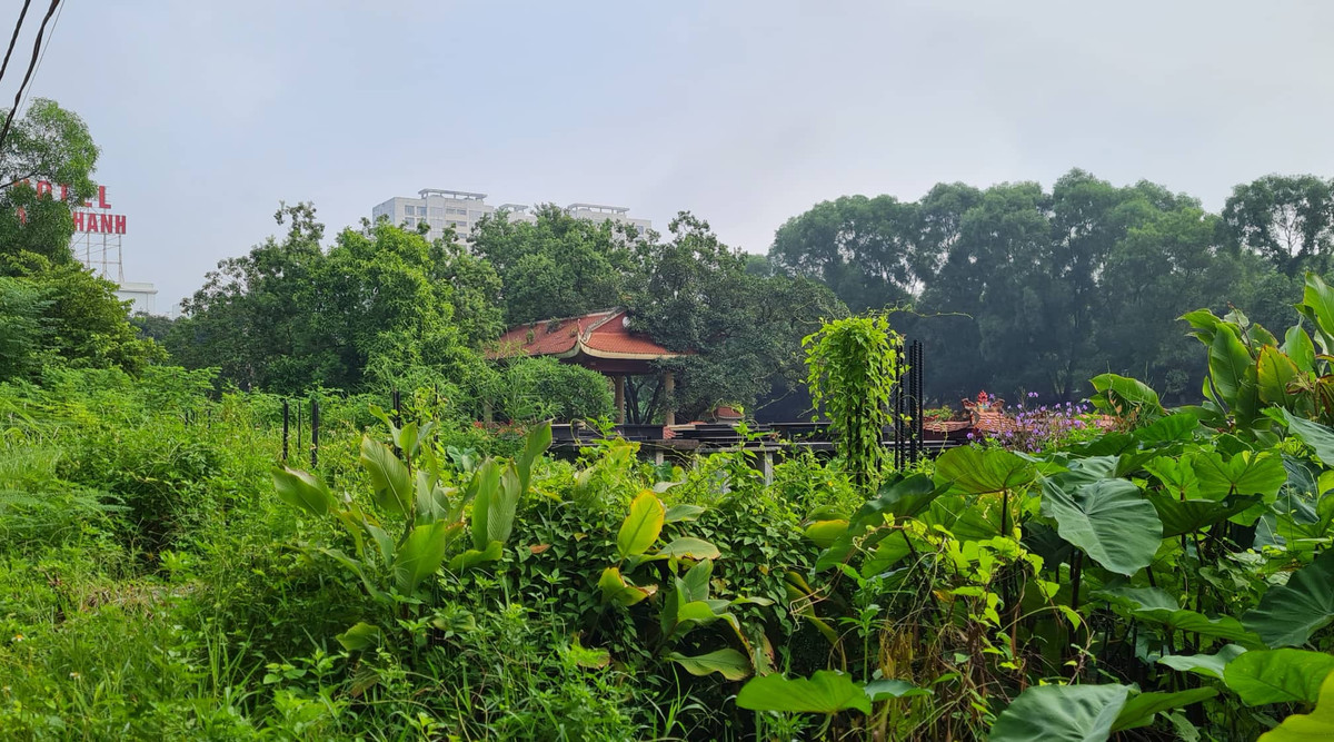 Xót xa loạt lô đất "hoang tàn" của Tổng công ty HUD - Hình 11 Xot xa loat lo dat