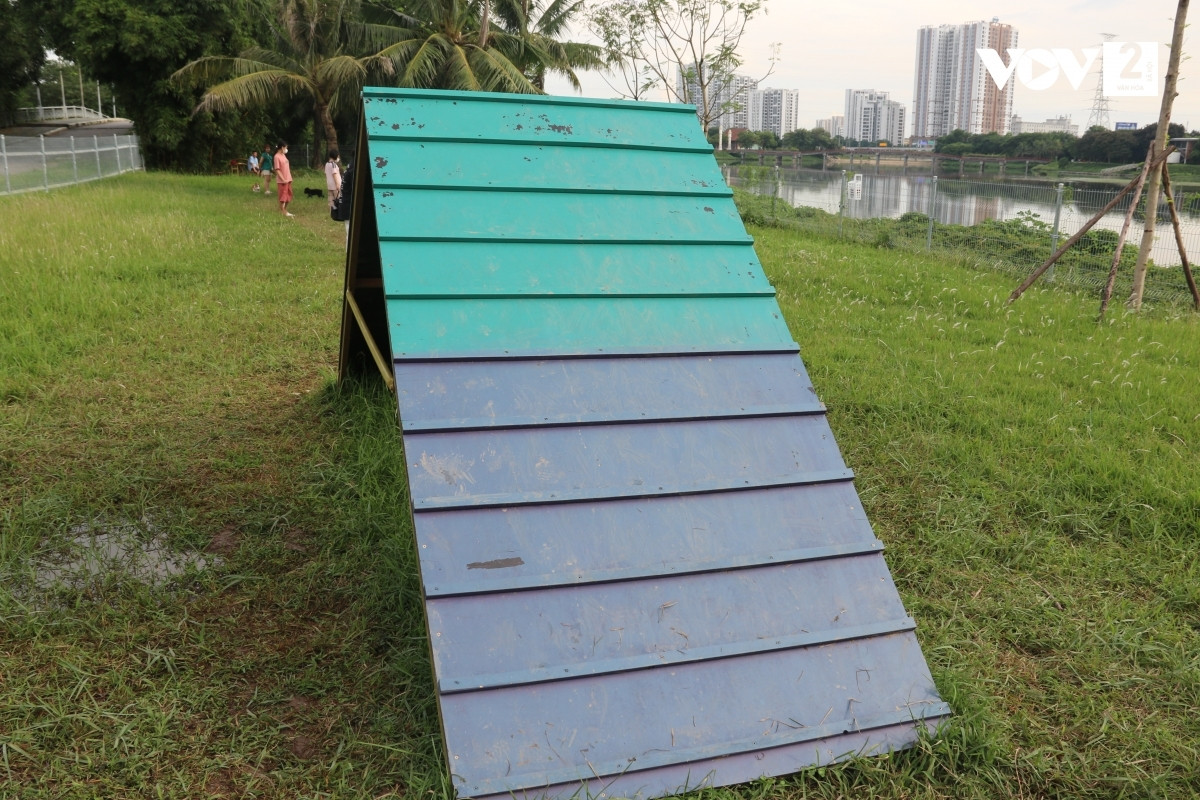 Công viên bố trí một số trò chơi, chướng ngại vật cho những chú chó thử sức - Ảnh: vov.vn