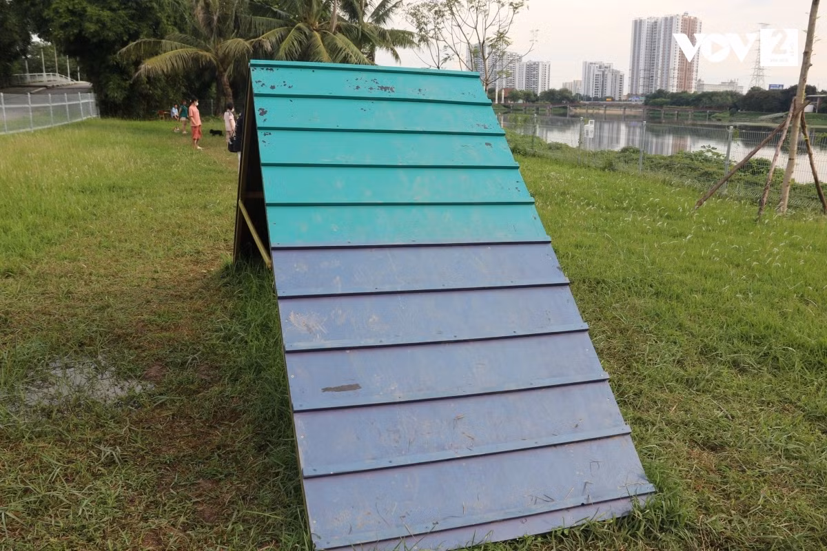 Công viên bố trí một số trò chơi, chướng ngại vật cho những chú chó thử sức - Ảnh: vov.vn