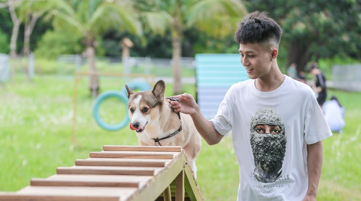 Nhiều vật dụng được sắp đặt làm không gian chơi mới cho các chú chớ - Ảnh: vtc.vn