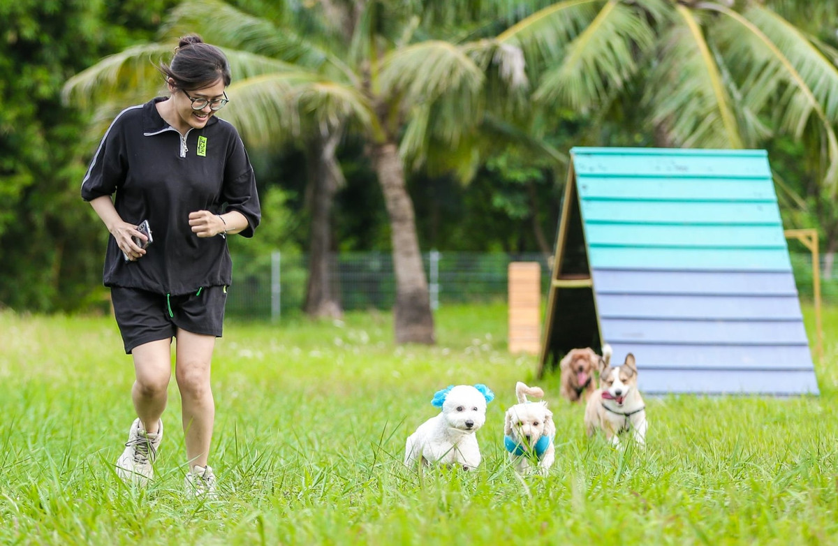 Công viên chó, tại Công viên Yên Sở bố trí một số trò chơi và tạo không gian giao lưu, chạy nhảy cho những chú chó, đặc biệt phù hợp với những gia đình có nơi ở chật hẹp, nhà chung cư - Ảnh: vtc.vn