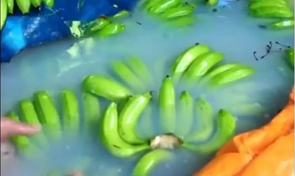 Tieu thuong chi diem cach nhan biet chuoi nhung hoa chat de ep chin “de nhu tro ban tay“