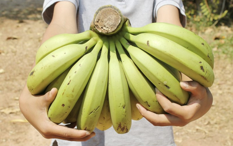 Tieu thuong chi diem cach nhan biet chuoi nhung hoa chat de ep chin “de nhu tro ban tay“-Hinh-3