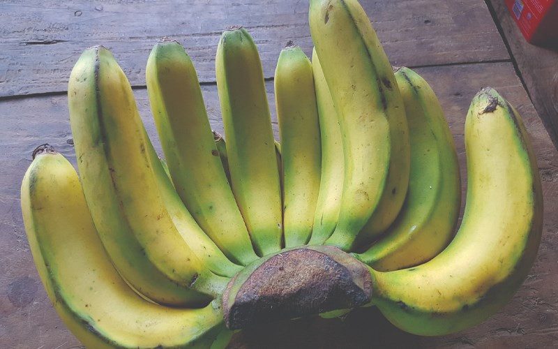 Tieu thuong chi diem cach nhan biet chuoi nhung hoa chat de ep chin “de nhu tro ban tay“-Hinh-2