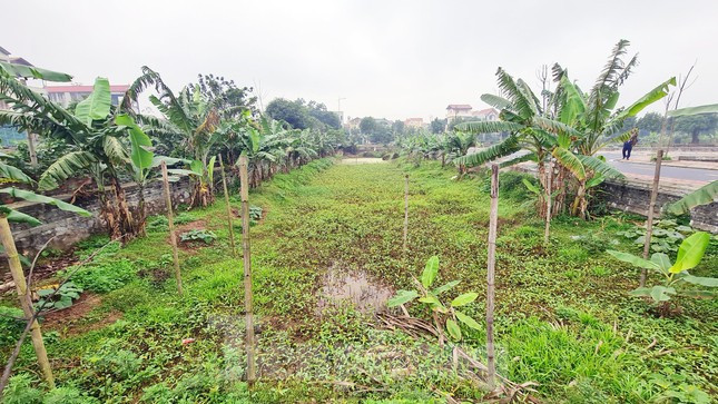 Tận mục khu đất hơn 3.000 m2 vi phạm đấu giá ở huyện Đan Phượng. (Ảnh: Tiền Phong).