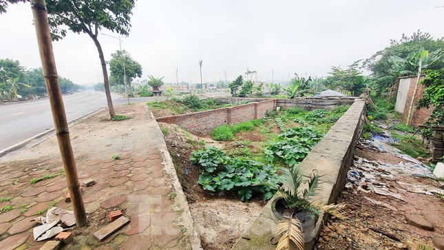 Mặt bằng tại các khu đất này vẫn chưa được tôn nền, đa phần các lô, thửa đất vẫn trũng thấp như ao hồ. (Ảnh: Tiền Phong).