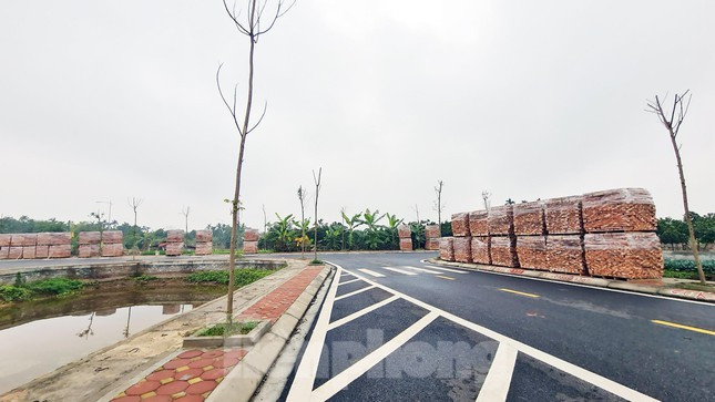 Khu đất đấu giá này cơ bản có hạ tầng giao thông hoàn thiện. (Ảnh: Tiền Phong).