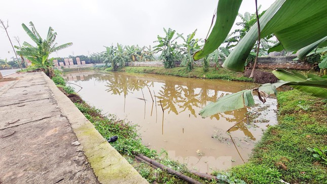 Được biết, khu đất đấu giá tại khu Chăn Nuôi, xã Đồng Tháp (huyện Đan Phượng) có diện tích gần 3.400m2, được chia làm 48 lô đất với diện tích khoảng 70m2/lô. Giá khởi điểm đấu giá là 20-24 triệu đồng/lô. Giá trúng đấu giá khoảng 30-40 triệu đồng/lô. (Ảnh: Tiền Phong).