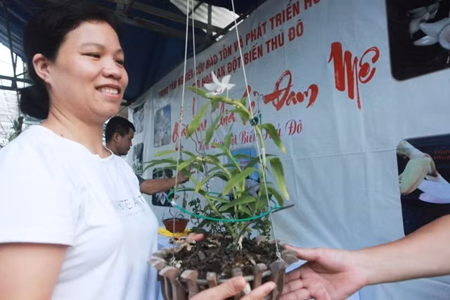 Thuong vu lan dot bien 200 ty dong chan dong dan choi dat Viet-Hinh-5