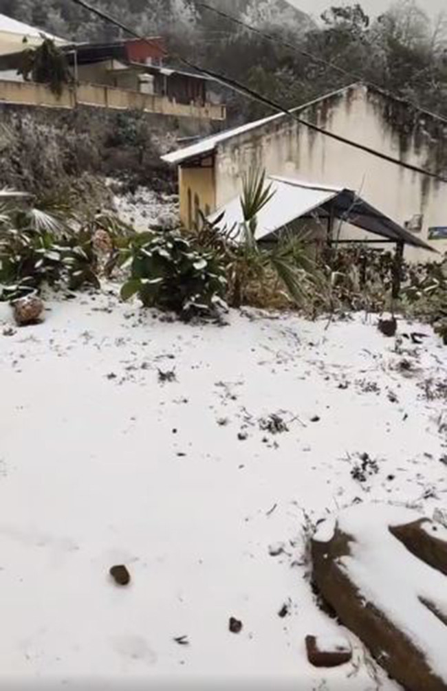 Tuyết rơi phủ trắng cả mái nhà.