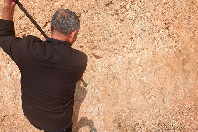 Cụ Biện nói: "Miếng ngói mùi thơm, vị bùi, càng nhai càng ngon. Ăn nhiều người còn nghiện đấy, ông nhà tôi lúc còn sống cứ cách vài ngày là phải lấy để ăn, giờ tôi gần đất xa trời rồi nhưng không có nó cũng không chịu được. Ngày xưa, có người thèm quá còn ra những nơi có đất ngói, nhặt những mảnh vụn rồi cứ thế ăn mà không cần chế biến. Nhưng giờ chả mấy người còn ăn nữa, trẻ con có nhiều bánh, kẹo ngon hơn nên không đứa nào thèm ăn đất nữa".