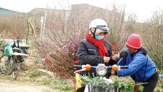 Thoi tiet Tet Nguyen dan nam nay: Co ret te nguoi?