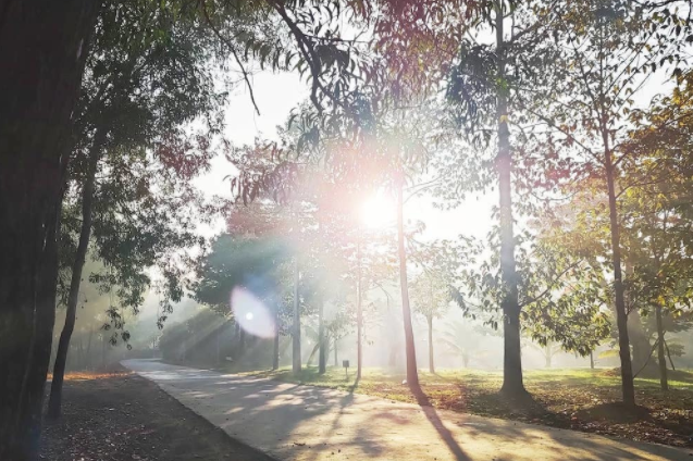 Tet 2022: Chup anh bang dien thoai sao cho dep?