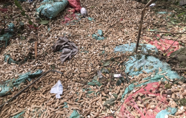 Trước đó, khoảng 1h45 ngày 9/2, tại đường liên xã Đak Sơ Mei - Hà Đông thuộc địa phận làng Bokrei, xã Đak Sơ Mei, huyện Đak Đoa, tỉnh Gia Lai, xe tải chở mỳ biển kiểm soát 81C-111.25, loại xe tải có mui, màu xanh, trọng tải 16 tấn do Huỳnh Đức Nguyên (SN 1983, trú 117/23 Nguyễn Chí Thanh, tổ 4, phường Chi Lăng, thành phố Pleiku, tỉnh Gia Lai) điều khiển, lưu thông theo hướng từ xã Hà Đông đi Đak Sơ Mei, đến địa điểm trên lao xuống vực (bên phải đường theo hướng lưu thông). Trên cabin chở 8 người, trên thùng xe là mì (sắn) lát khô.