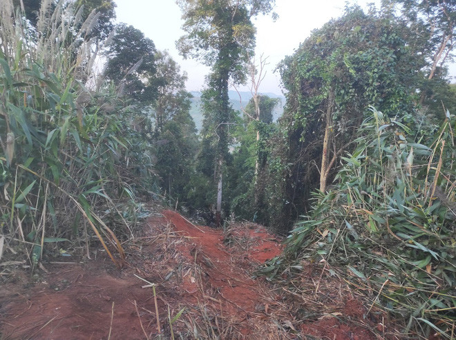 Vụ tai nạn làm chết 6 người (trong đó có lái xe) và làm bị thương 3 người.