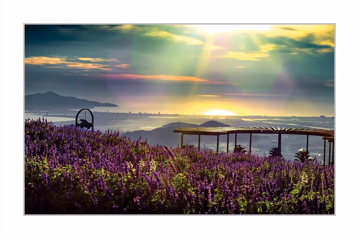 Cùng hòa vào thiên nhiên Bà Nà với tuyến Tàu hỏa leo núi đầy ấn tượng để đến với Vườn hoa Tình yêu cũng là một gợi ý tuyệt vời cho những cặp đôi trong buổi chiều tà giữa đại ngàn của miền Trung thơ mộng.