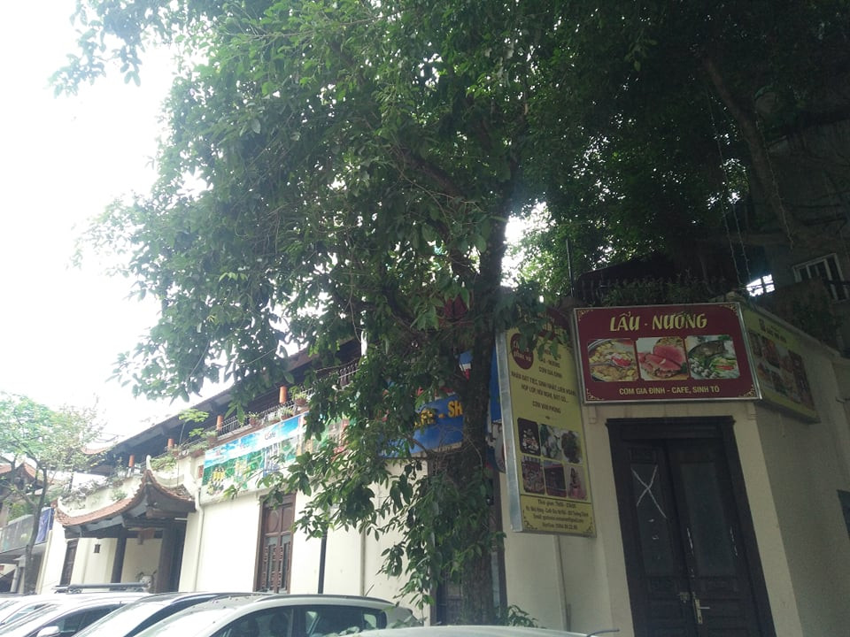 Nha hat mua roi Viet Nam bi “xe thit” lam nha hang-Hinh-2