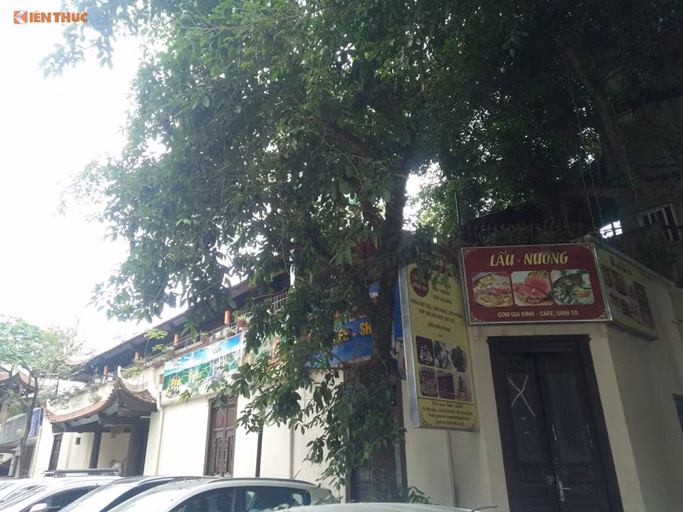 Nha hat mua roi Viet Nam bi “xe thit”: Giam doc, truong phong co quan he gi?-Hinh-2