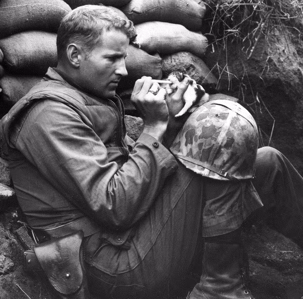 Frank Praytor, trung sĩ hải quân Mỹ, đang cho con mèo 2 tuần tuổi ăn trong cuộc chiến tranh Triều Tiên năm 1952 sau khi mèo mẹ chết. Nhiều trang báo cho rằng, đây là một trong 30 bức ảnh đắt giá nhất trong chiến tranh và lay động trái tim hàng triệu người