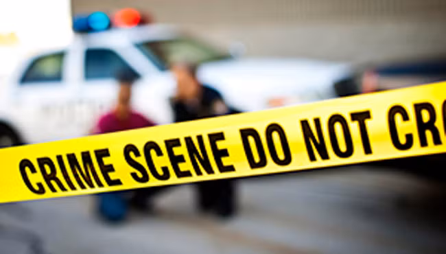 Giải thích cho hiện tượng này, các nhà khoa học cho rằng, những người có tim đập chậm thường ít khi cảm thấy phấn khích, có động lực.