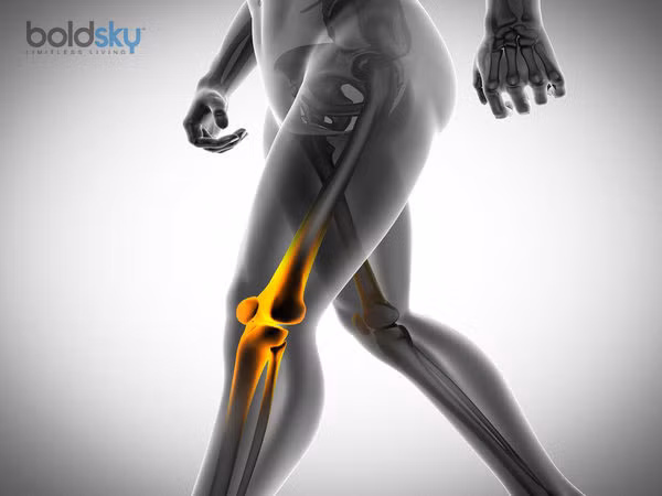 Khi một phần xương bị gẫy, tế bào ở những phần xương còn lại sẽ đảm nhận nhiệm vụ hồi phục cho đoạn xương gãy. Để đẩy nhanh quá trình này, cần ăn nhiều rau xanh có chứa vitamin K.