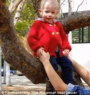 Và bé Rosannah Searle sẽ không phải tới bệnh viện để tiếp tục cuộc sống bình thường của mình.