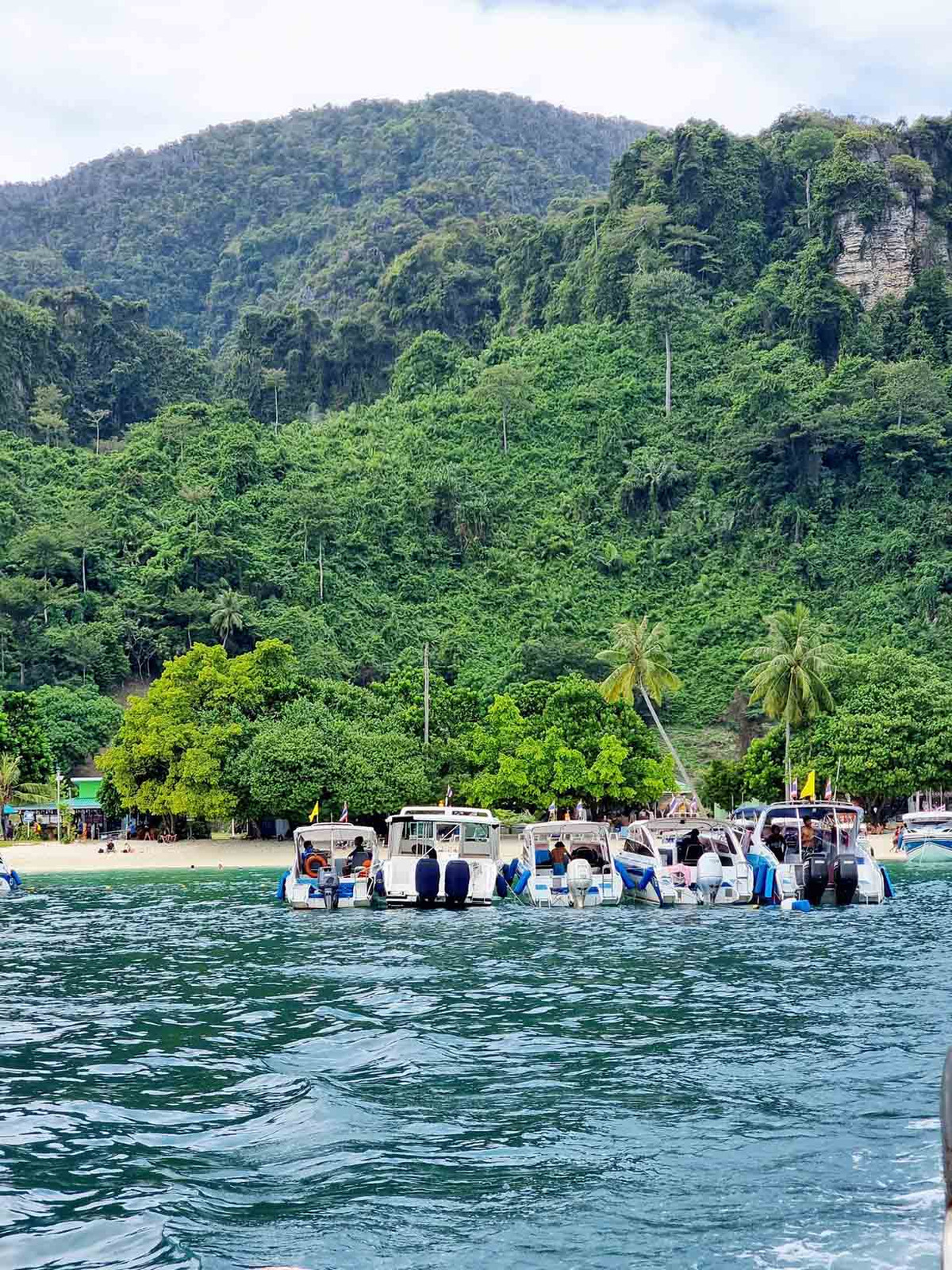 Màu xanh của biển, của rừng cây tạo nên khung cảnh xanh mát. Ảnh: Lê Dân Nam