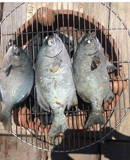 Dù nghe tên có phần đáng sợ nhưng thịt của cá tà ma trắng nõn, chắc, ăn cực kỳ thơm và ngon, khi ăn sẽ cảm nhận được vị ngọt, vị dai.