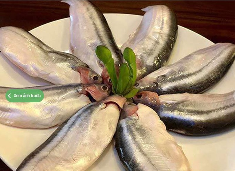 Cá xác ăn tạp, thích các sinh vật ươn, hôi.