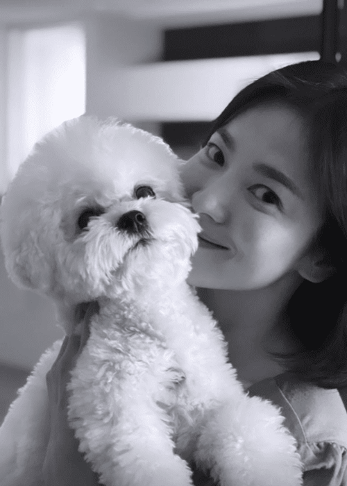 Khi không trang điểm, phần bọng mắt và nếp nhăn của Song Hye Kyo lộ rõ hơn. Ảnh: Instagram