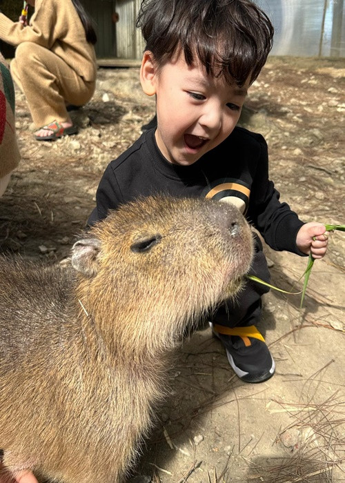 Con trai Tú Anh càng lớn càng dễ thương.