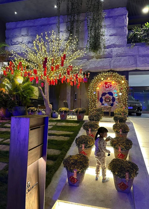 Đàm Thu Trang vừa khoe biệt thự ngập tràn không khí xuân. Nữ ca sĩ gốc Tày cùng ông xã Cường Đô la đầu tư trang trí trong và ngoài nhà riêng của mình để đón Tết Nguyên đán 2023.