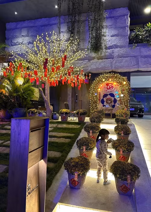 Đàm Thu Trang vừa khoe biệt thự ngập tràn không khí xuân. Nữ ca sĩ gốc Tày cùng ông xã Cường Đô la đầu tư trang trí trong và ngoài nhà riêng của mình để đón Tết Nguyên đán 2023.