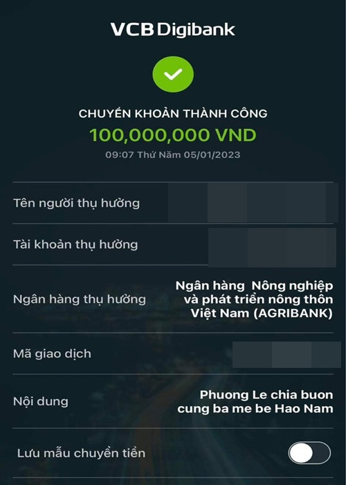 Phuong Le ho tro gia dinh be trai 10 tuoi roi xuong ong be tong-Hinh-3