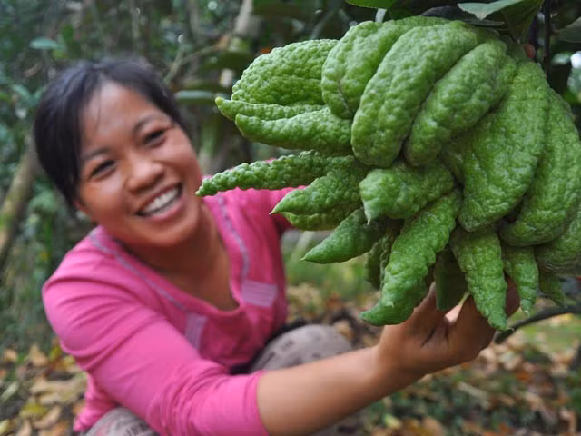 Dac san ngay Tet: Hang “tien vua” len ngoi-Hinh-2