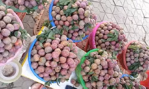 Chay hang man tam hoa gia 5.000 dong 1 qua