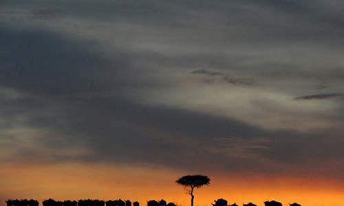 Huong dan vien Trung Quoc dam chet du khach vi tranh ban an