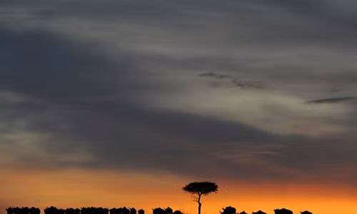 Huong dan vien Trung Quoc dam chet du khach vi tranh ban an