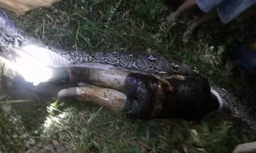 Gia thiet chan dong vu tran khong lo nuot chung nguoi