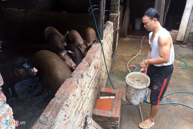 Kinh ngac chan trau tren dat du an thap cao nhat VN