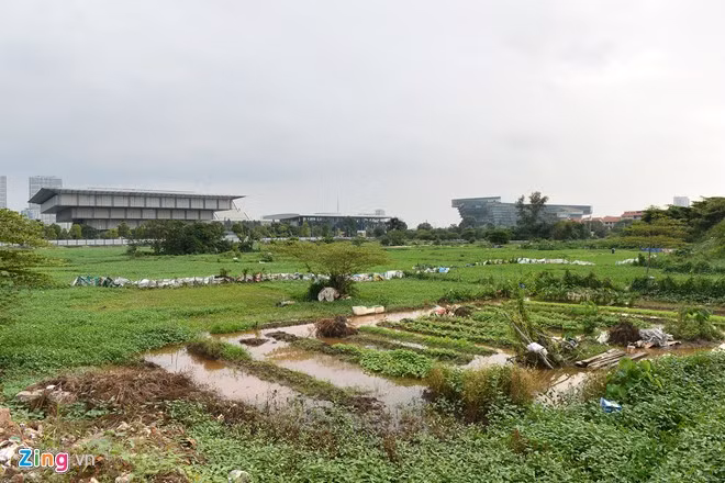 Kinh ngac chan trau tren dat du an thap cao nhat VN-Hinh-3