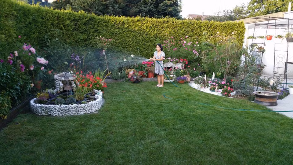 Những ngày cuối tuần, chị Phương dành thời chăm sóc hoa trong khu vườn xinh.