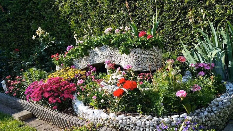 Có nhiều loài hoa với đủ sắc màu.