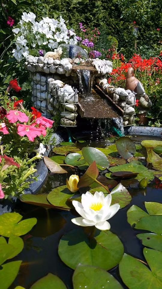 Ngôi nhà nhỏ của gia đình chị Phương được thiết kế theo không gian mở. Có sân cỏ phía sau nhà và sân gạch bên hông nhà. Mặt trước là lối đi cho 2 căn nhà bên trong. Chị cho biết, đất vườn của gia đình có thể trồng được nhiều loài hoa. Đặc biệt, chị có thể trồng hoa ngay sát cửa sổ nhà bếp, cạnh lối đi vào căn nhà bên trong.