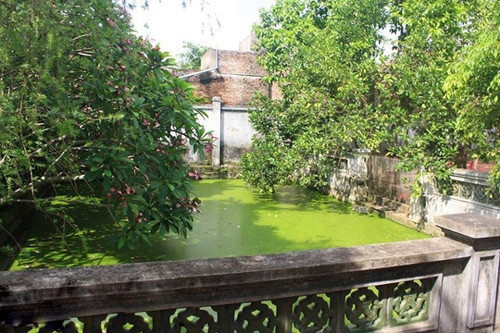 Bên ngoài căn nhà là khu vườn cây ăn quả và hồ cá.