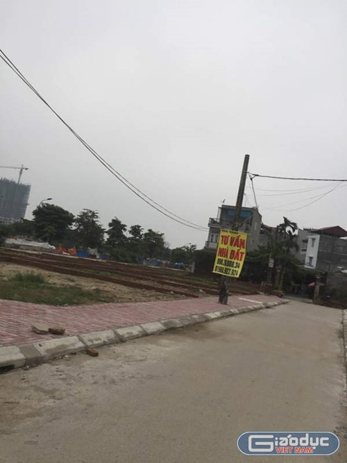 Nhiều người dân tỏ ra bức xúc trước việc khu đất vàng lại được đấu giá rẻ mạt.