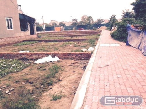 Khu đất "vàng" tại phường Xuân Đỉnh, quận Bắc Từ Liêm được mang ra đấu giá... rẻ mạt.